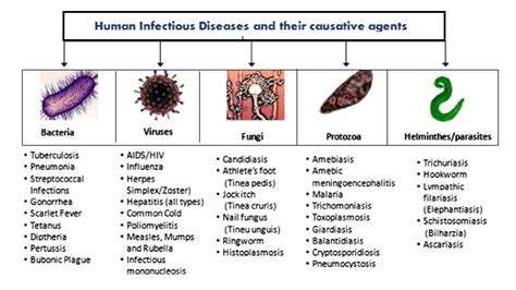  Inflammation has long been a well-known symptom of most infectious diseases